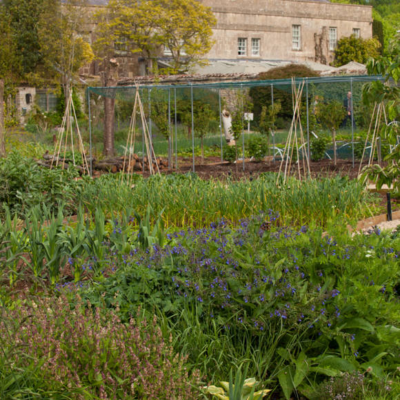 Pig Bath Gardens Hi Res-42.jpg