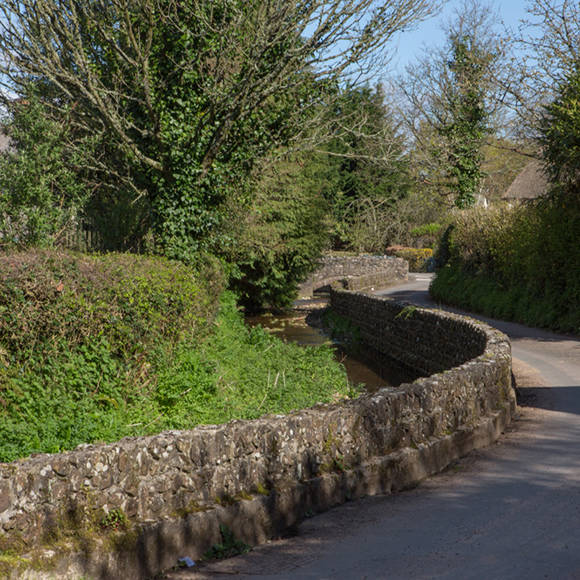 Pig Combe 2017 Milligan Lo Res-67.jpg