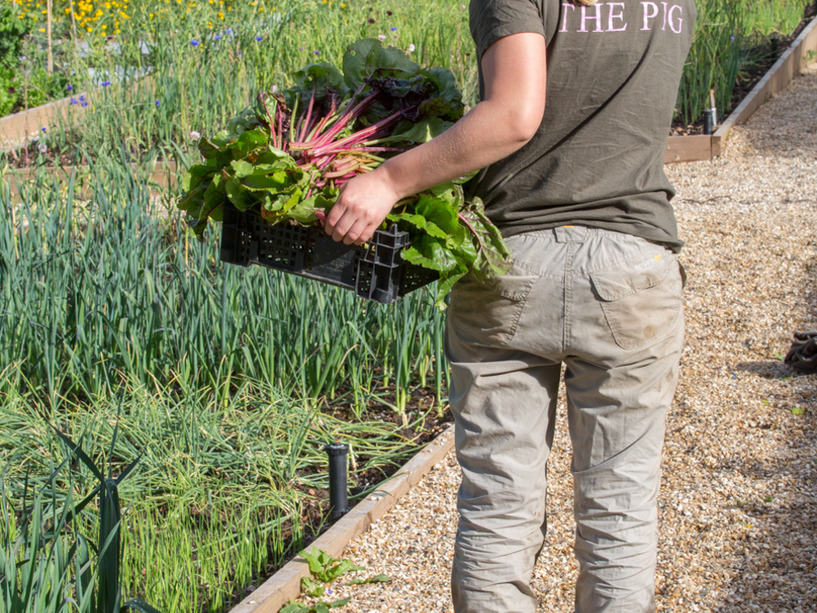 gardeners_01
