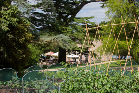 Milligan PigCombe 2 Lo Res-119.jpg