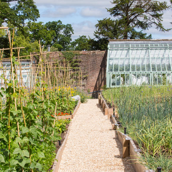 Milligan PigCombe 2 Lo Res-120.jpg