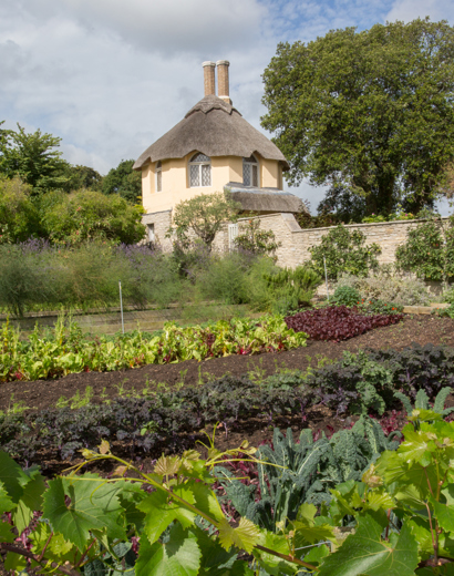 The Pig on the Beach — interior and exterior view 30