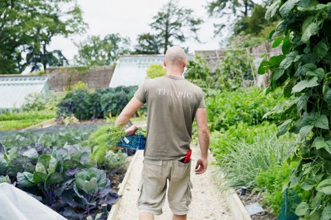 Gardener