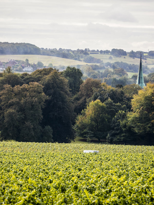 The Pig at Bridge Place — interior and exterior view 10