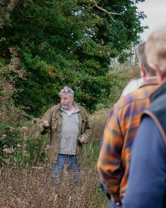 The Pig in the Wall — interior and exterior view 28