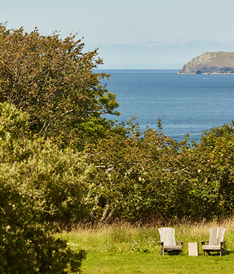 Insider Guide to spring in Cornwall - THE PIG