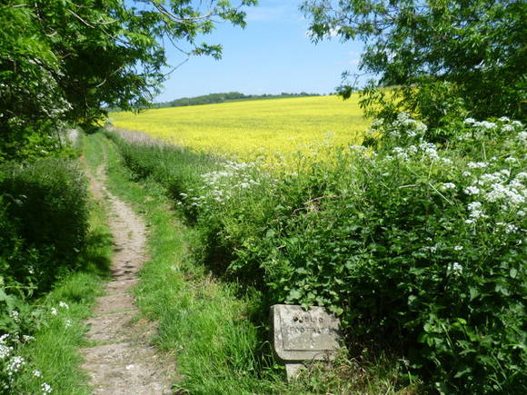 Elham Valley Way