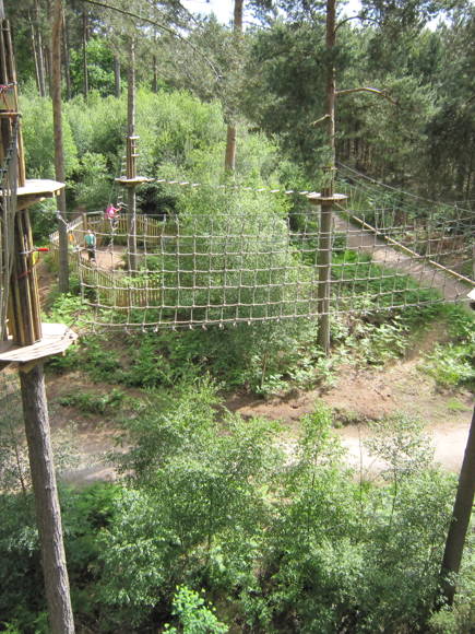 Go Ape Cannock Chase Site 3 Panoramio