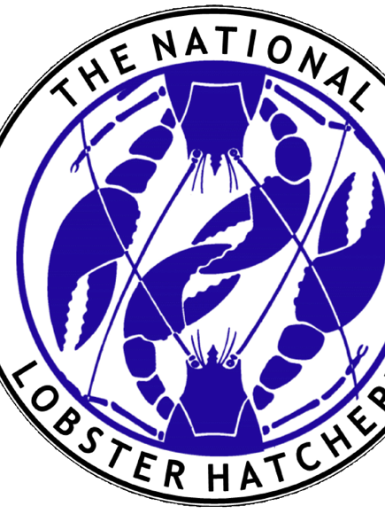 NLH Transparent Background