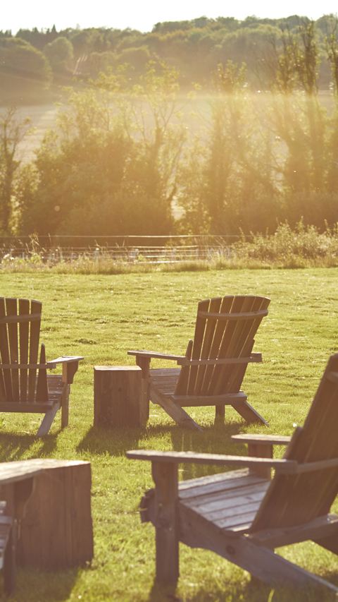 The Pig in the South Downs — interior and exterior view 50