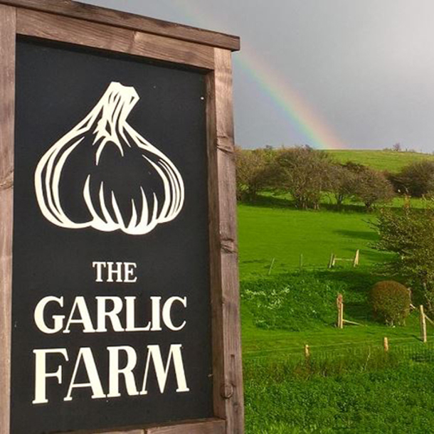 the-garlic-farm
