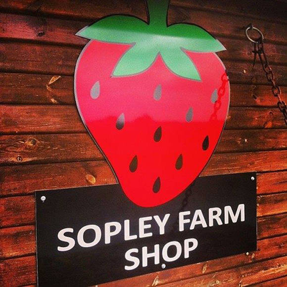 Sopley Farm