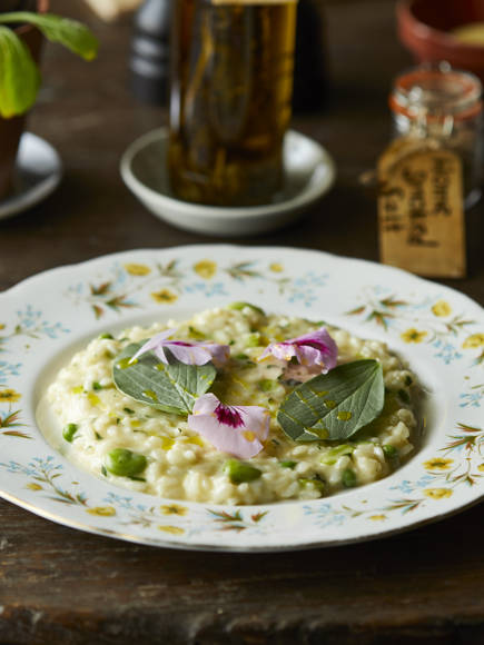 Spring Pea Risotto, Broad Bean Leaves And Morrocan Mint Oil