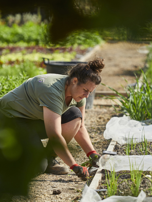 The Pig in the Wall — interior and exterior view 18