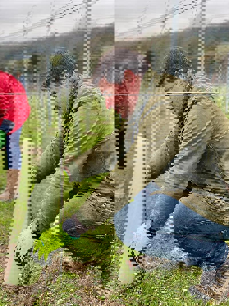 E36e4cec F84b 4Ae9 9B98 87Cdbf1c86d2