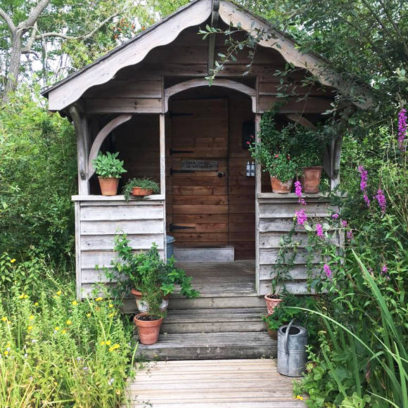 Shed