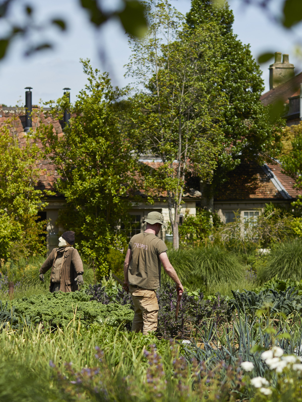 The Pig near Bath — interior and exterior view 10