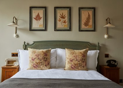 Snug Rooms at THE PIG-near Bath - The Mendip Hills, Somerset