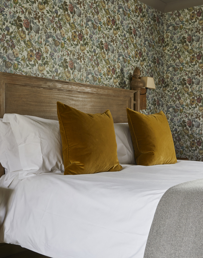 Comfy Rooms