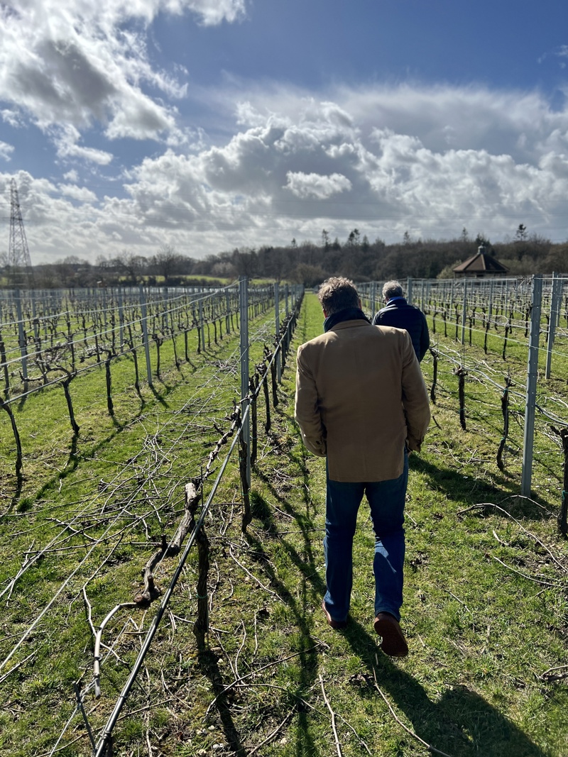 A deep dive into Danbury Ridge, one of our English wine suppliers THE PIG