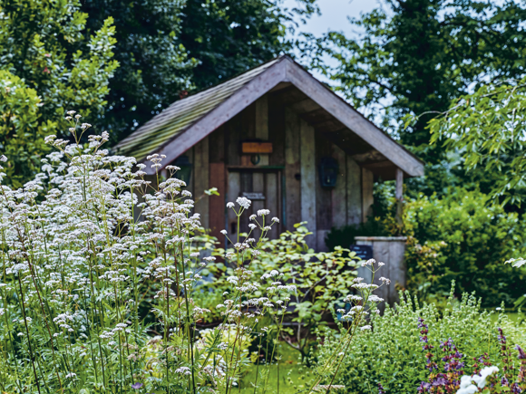 shed
