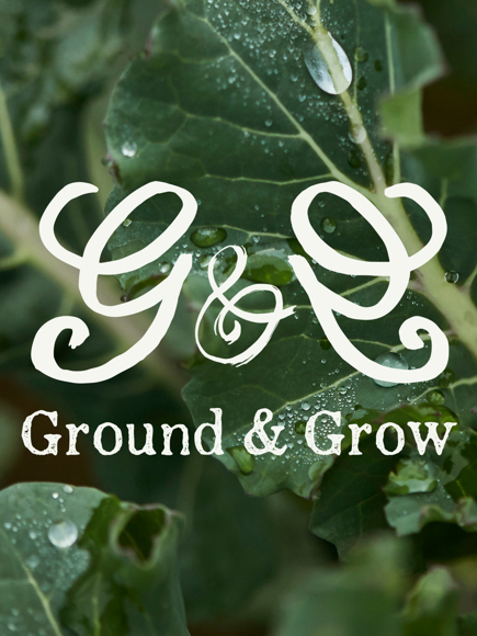 banner_1500x3000artboard_gg
