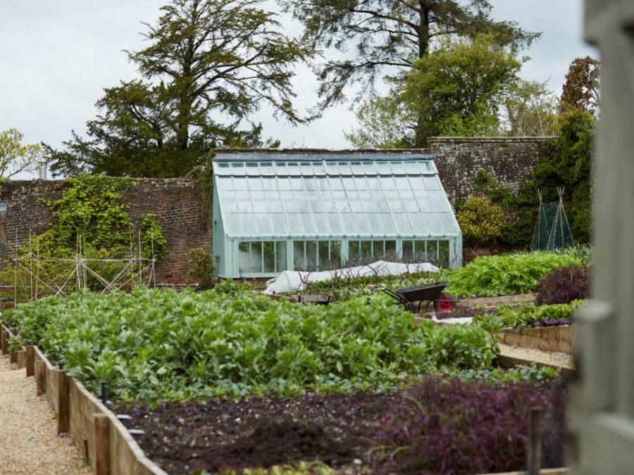 greenhouse