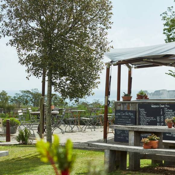 Wood Oven