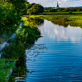 chichester-canal