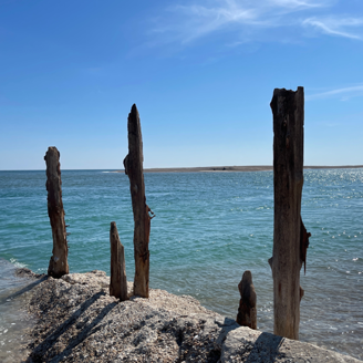 pagham-beach