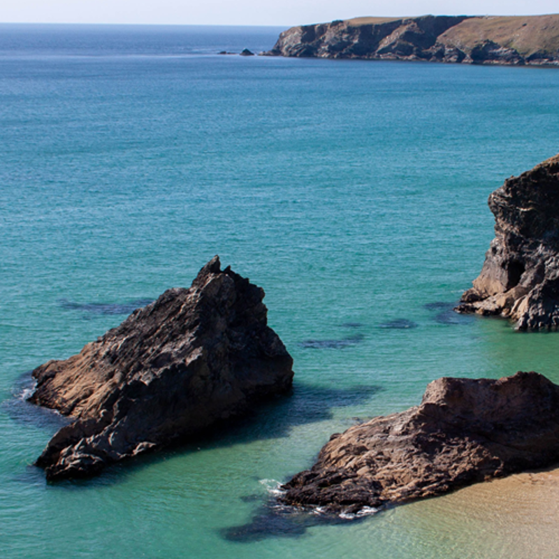 Insider Guide to spring in Cornwall THE PIG