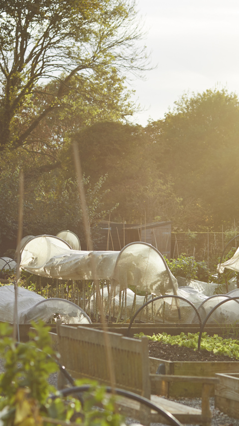 The Pig (original) — interior and exterior view 32