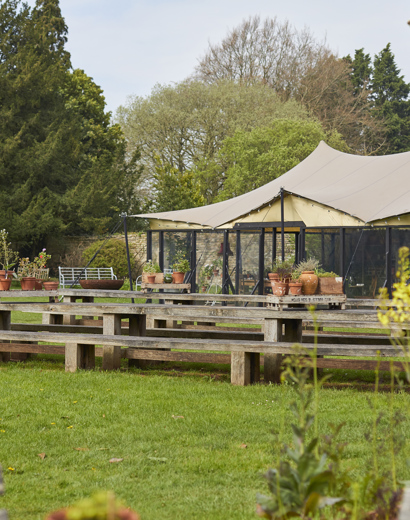 The Terrace