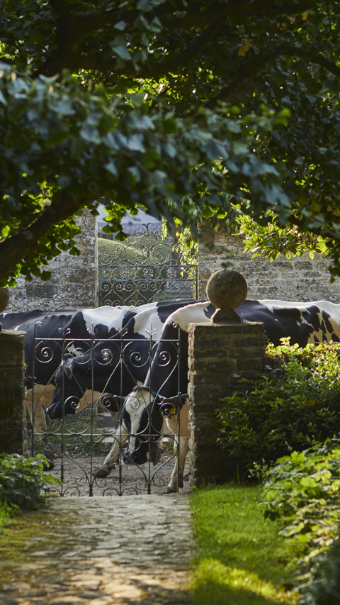 The Pig (original) — interior and exterior view 16