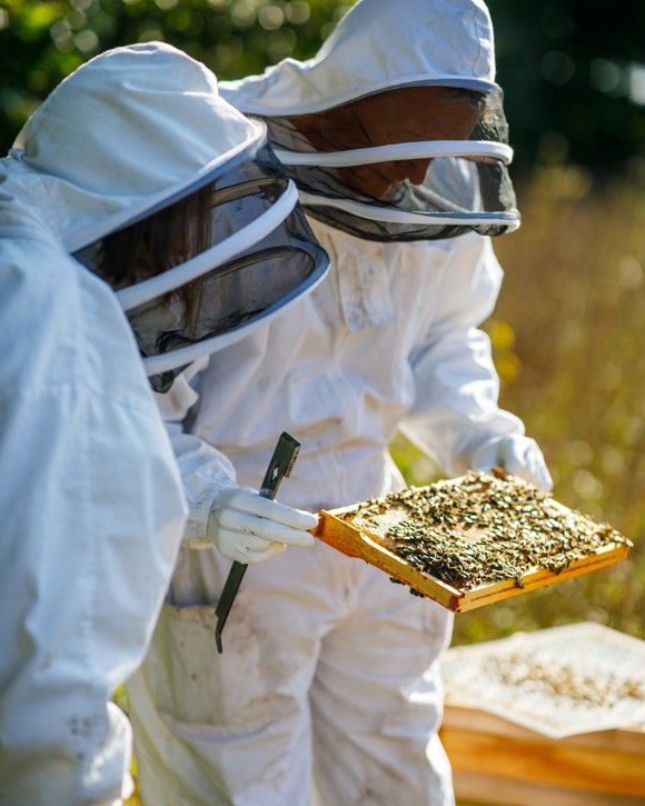 The Pig at Combe — interior and exterior view 39