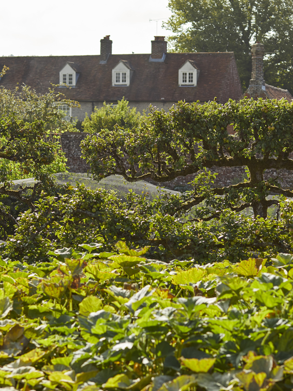 The Pig in the South Downs — interior and exterior view 9