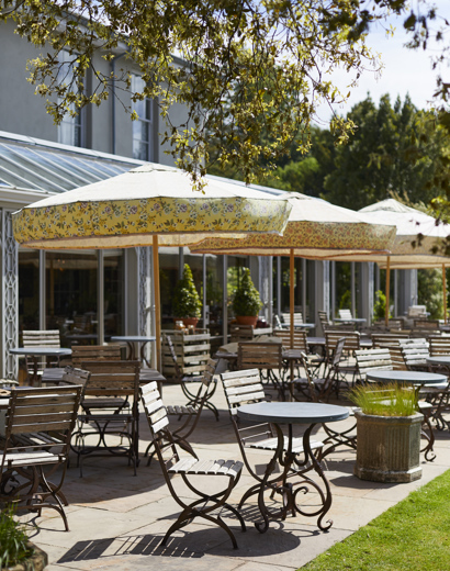 The Terrace