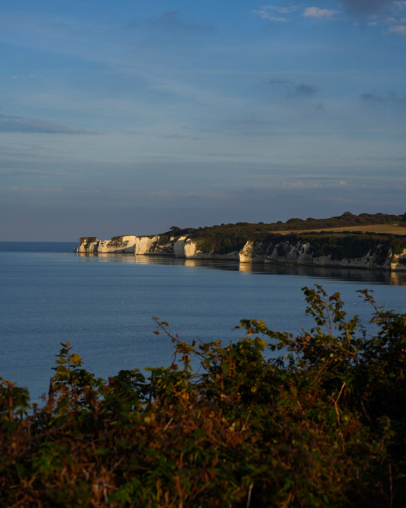 The Pig on the Beach — interior and exterior view 33