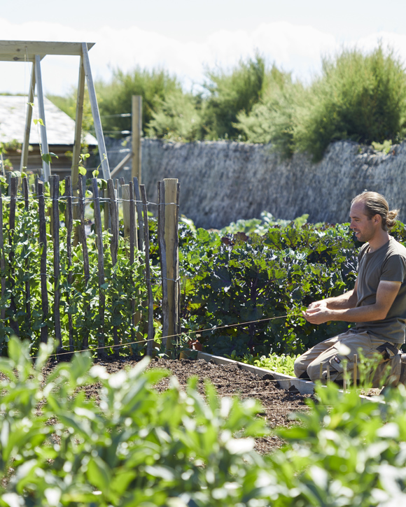 The Pig near Bath — interior and exterior view 35