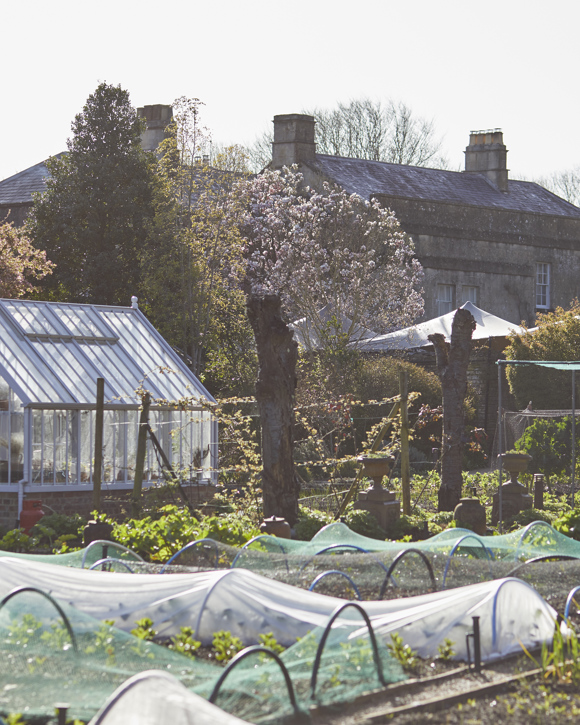 The Pig near Bath — interior and exterior view 31