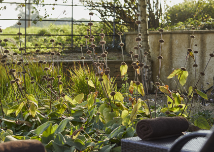 Field Luxe Rooms at THE PIG-in the Cotswolds - near Cirencester, The Cotswolds