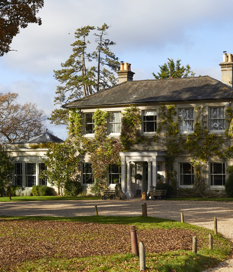 The Pig (at Brockenhurst) — photo 1