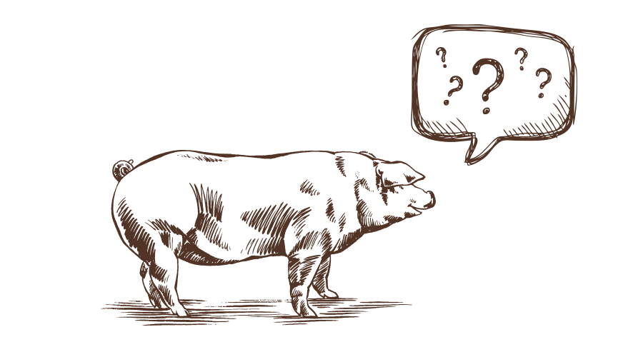 The Pig near Bath — interior and exterior view 37