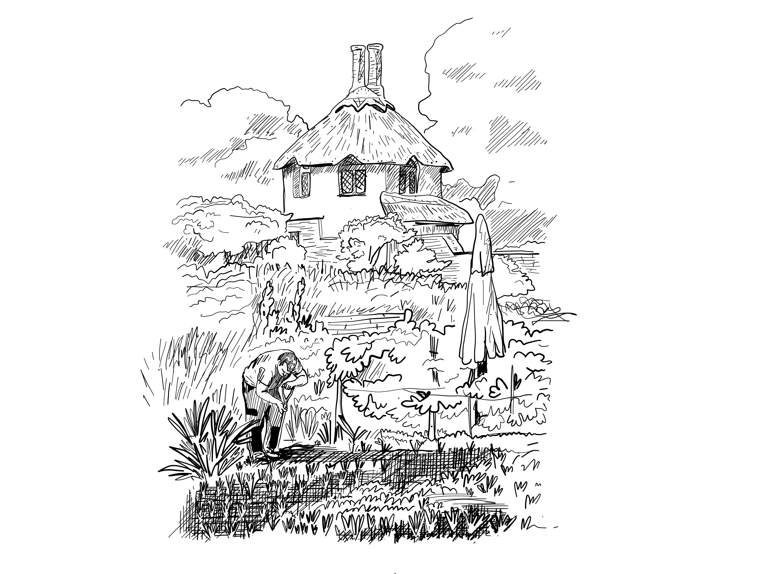 The Pig on the Beach — interior and exterior view 9